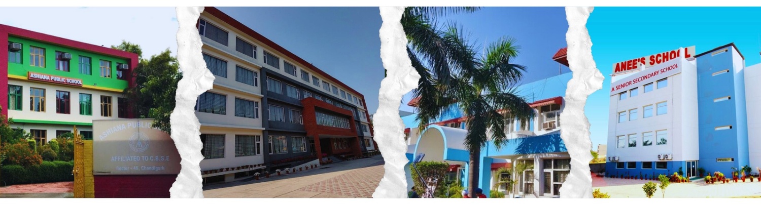 Top Sports Academies in Punjab | Train with the Best Coaches